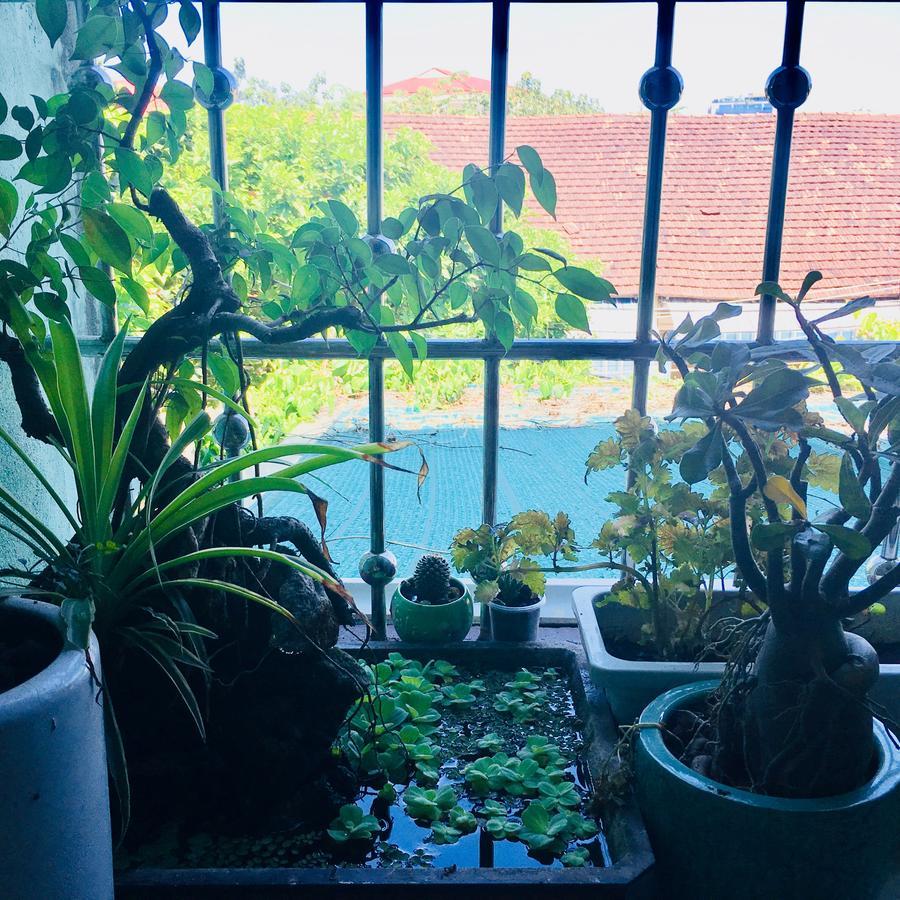 Nha Minh Homestay Đà Nẵng Ngoại thất bức ảnh