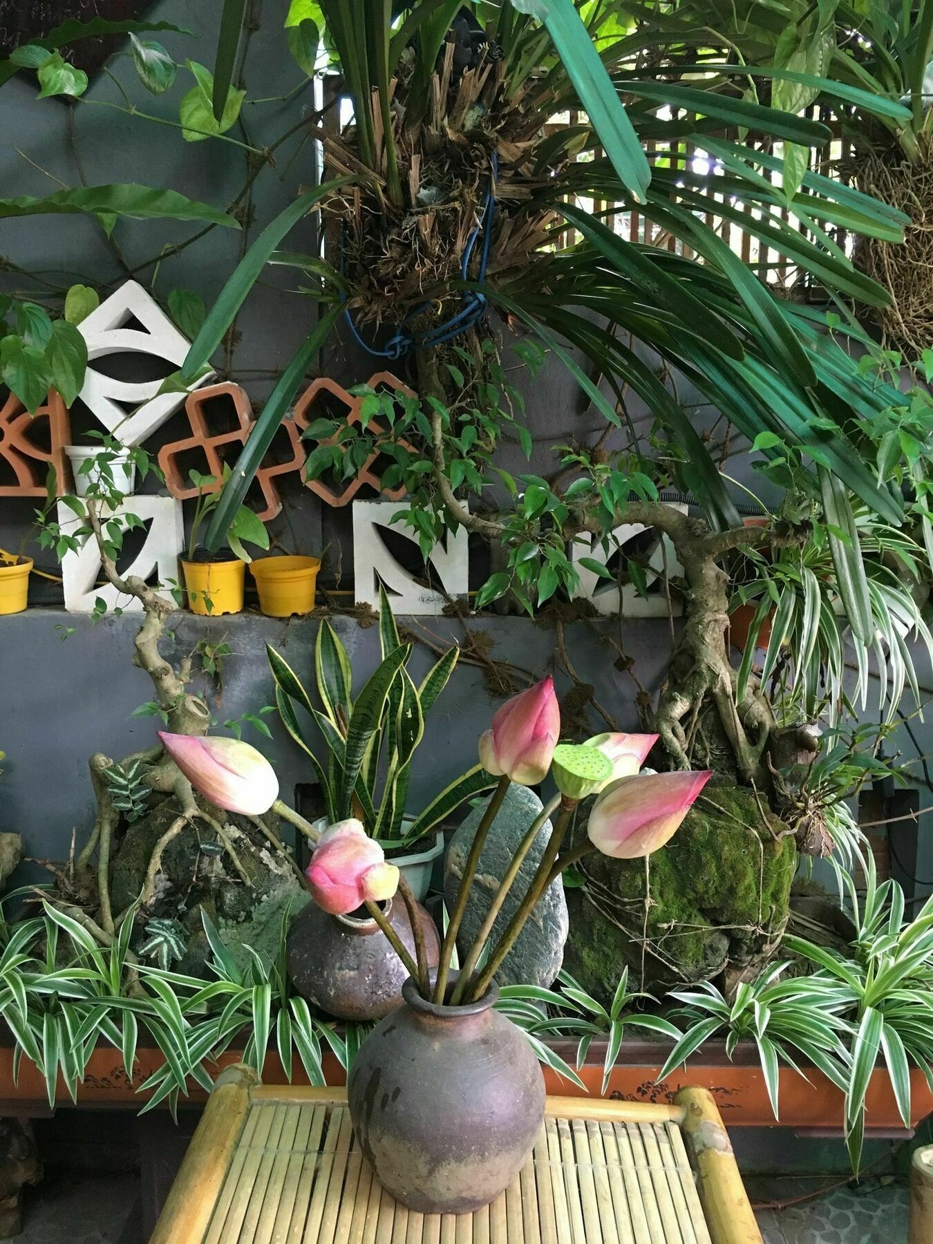 Nha Minh Homestay Đà Nẵng Ngoại thất bức ảnh